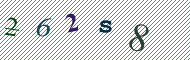 CAPTCHA code